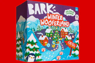 bark advent calendar stock image collage