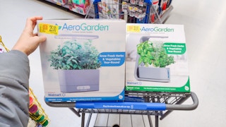 walmart aerogarden system hand holding in cart