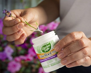 plant rooting hormone