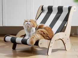 Cooling Cat Hammock Chair, Only $9.99 for Amazon Prime Day card image