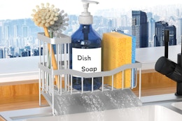 caddy holding dishwashing products on sink