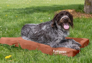 amazon furhaven pet bed 2023 1 1682701034 1682701034