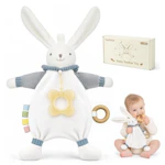 Teething Toy & Lovey