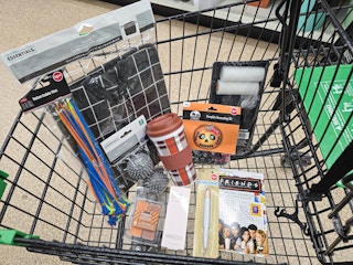 10 items in a dollar tree cart including storage, a painting kit, fall mug, dryer balls and more