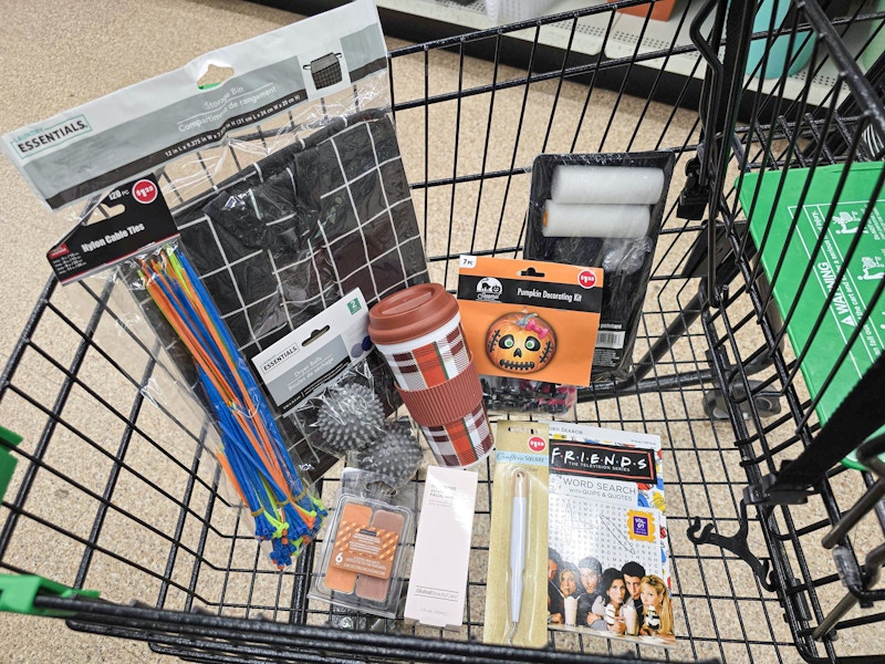 10 items in a dollar tree cart including storage, a painting kit, fall mug, dryer balls and more