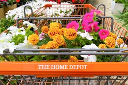 Home Depot Spring Black Friday 2025: Look for $2 Soil, $2 Mulch, and More card image