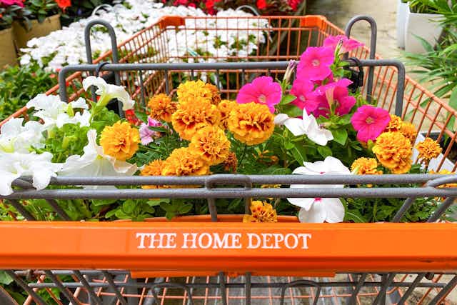 All the Home Depot Discounts to Help You Save More in 2024 card image