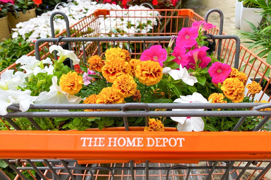 home depot shopping cart with flowers in garden center