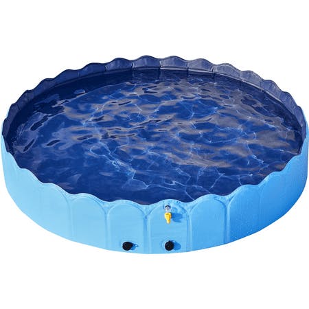 Dog Swimming Pool