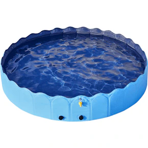 Dog Swimming Pool