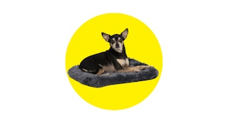 amazon small pet bed formula image 1680883313 1680883313