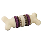 PetSafe Busy Buddy Bristle Bone