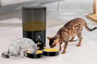 A cat and a baby serval each politely eat out of their own dishes, filled by the Papifeed Dual Cat Feeder
