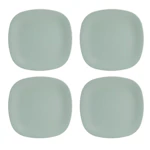 The Big One Plastic Plate Set