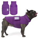 Small Dog Sweater