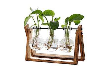 Plant Terrarium With Wooden Stand
