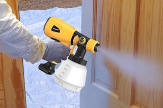 paint sprayer on amazon
