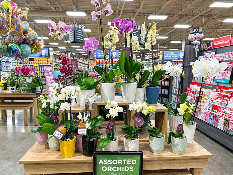 kroger-valentine-flowers-5