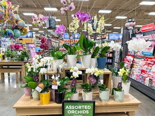 kroger-valentine-flowers-5