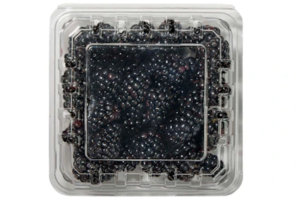 Blackberries Pack