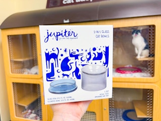 petco-clearance-jupiter-cat-bowl