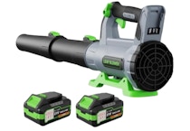 Cordless Leaf Blower