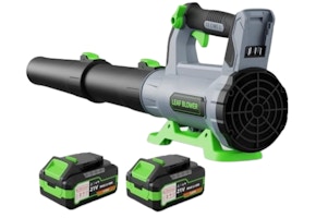 Cordless Leaf Blower