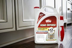 Ortho Home Defense Insect Killer B01N0TGJHB