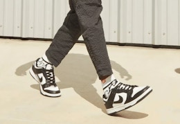 Nike Dunk Shoes