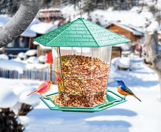 walmart phancir heavy duty bird feeder b 2023 1681216726 1681216726