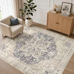Area Rug