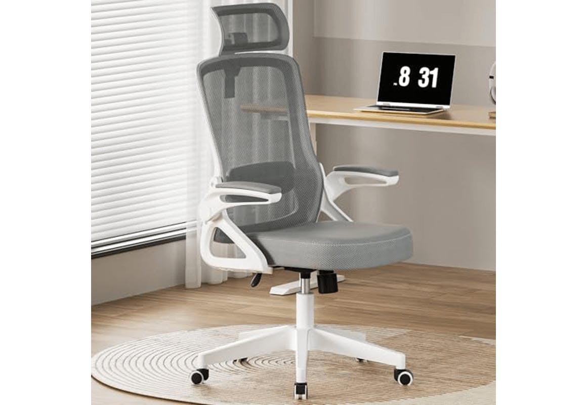 Ergonomic Office Chair