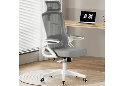 Ergonomic Office Chair