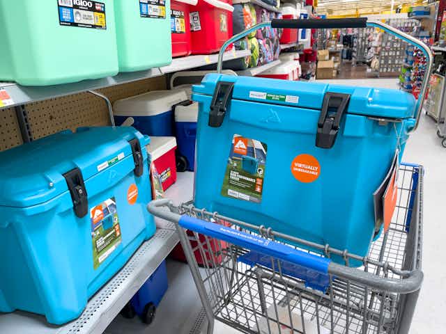 11 Cheaper YETI Alternatives You'll Wish You'd Known About Sooner card image