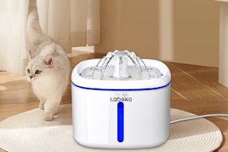 Cat Water Fountain
