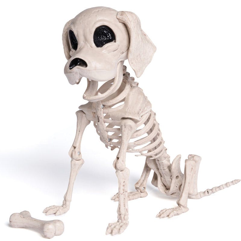 Halloween Dog Skeleton