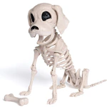 Halloween Dog Skeleton