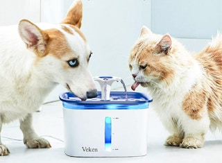 walmart pet water fountain 2023 1677937908 1677937908
