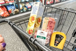 aldi Charcuterie board deals crackers salami cheese in cart
