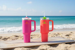 walmart stanley tumblers