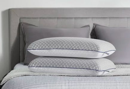 Sealy Pillows
