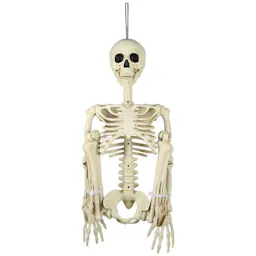 Skeleton