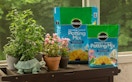 two bags of potting mix on a table with plants