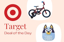 target deal of the day 12/21/25