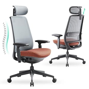 Ergonomic Office Chair