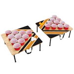 Portable Cup Pong