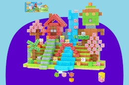 EchoPlan Magnetic Blocks on a purple background.