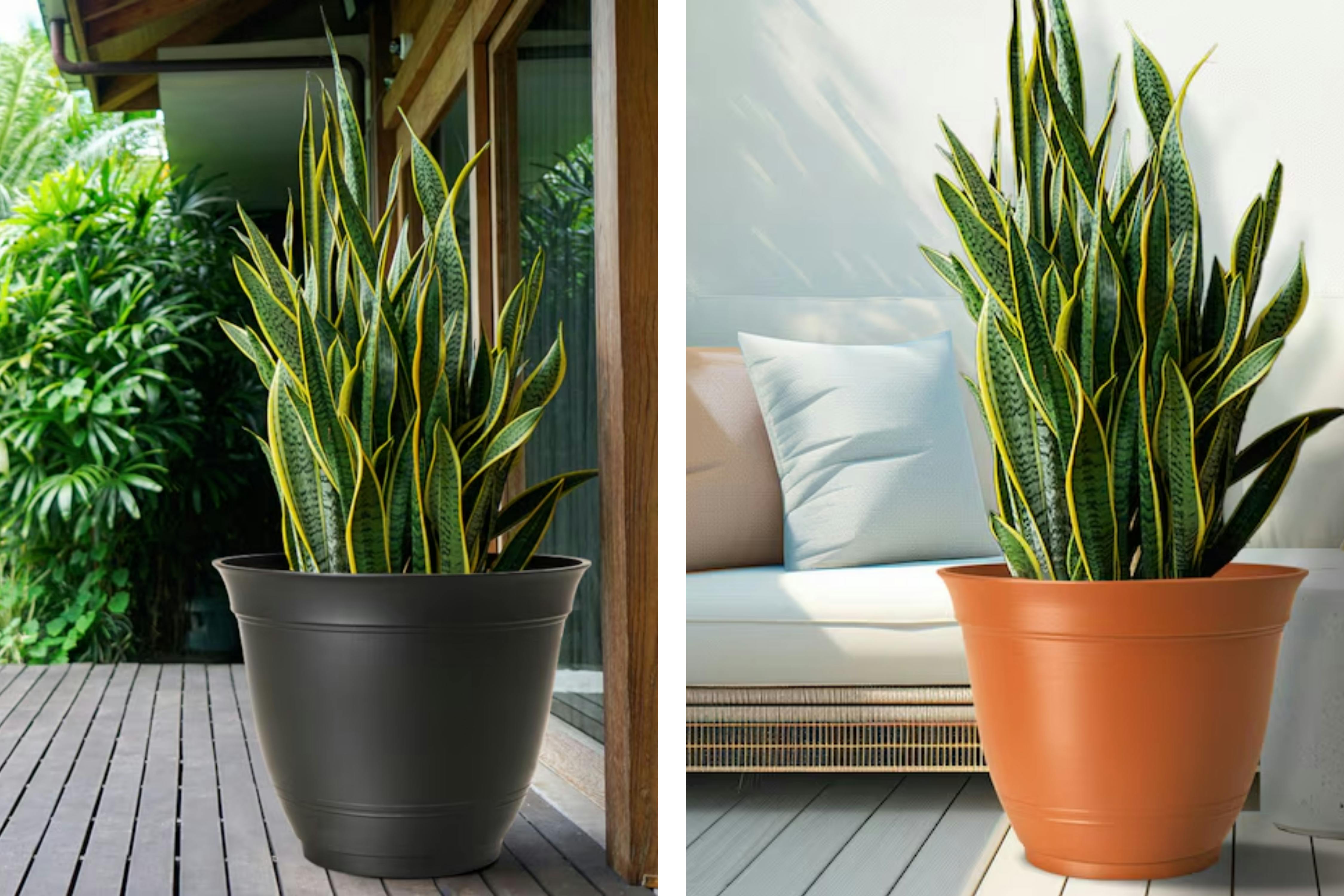 lowes style selections planters collage