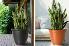 lowes style selections planters collage