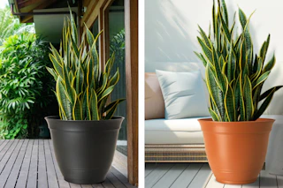 lowes style selections planters collage